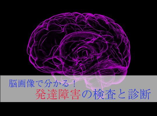 brain_img